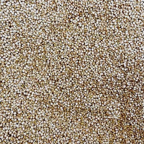 Quinoa blanca ecológica