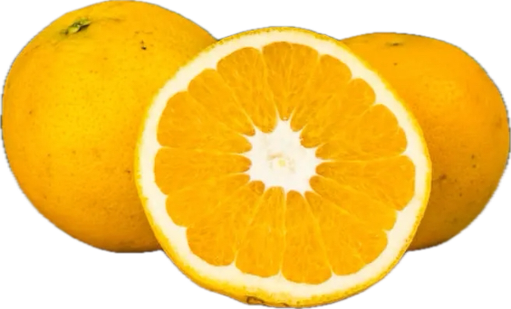 Naranja del país ecológica