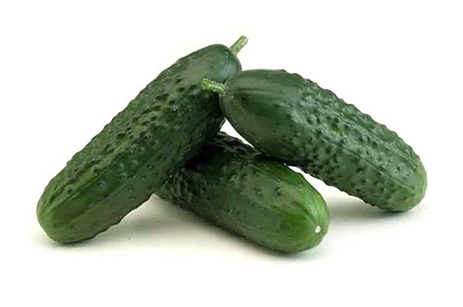 Pepino corto francés ecológico
