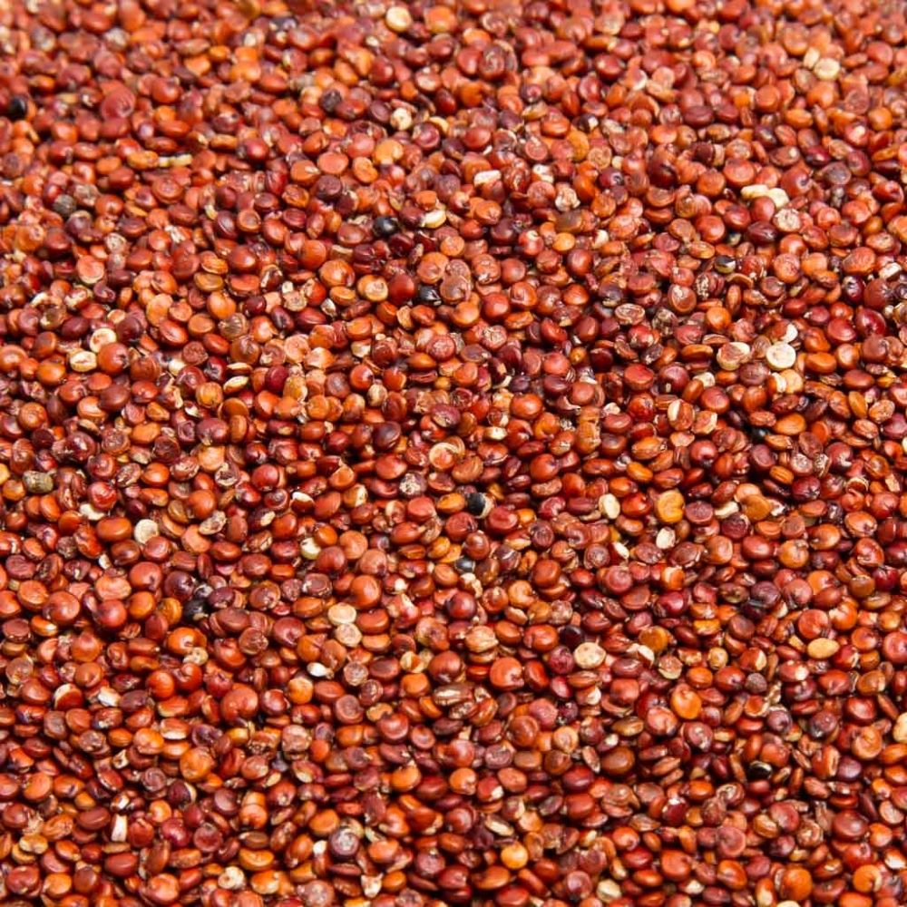 Quinoa roja