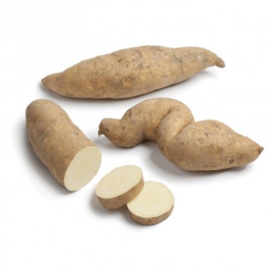 Batata blanca eco