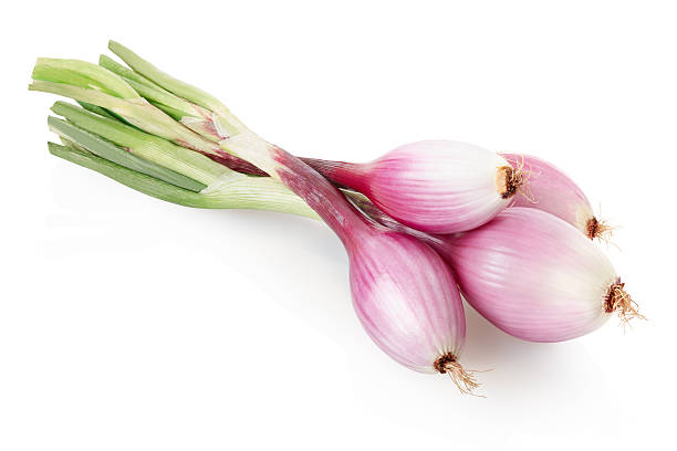 Cebolla roja tierna ecológica