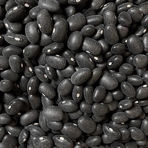 Frijol negro Eco