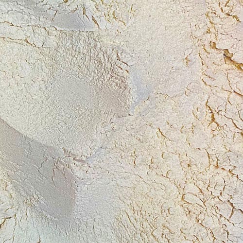 Gluten Trigo