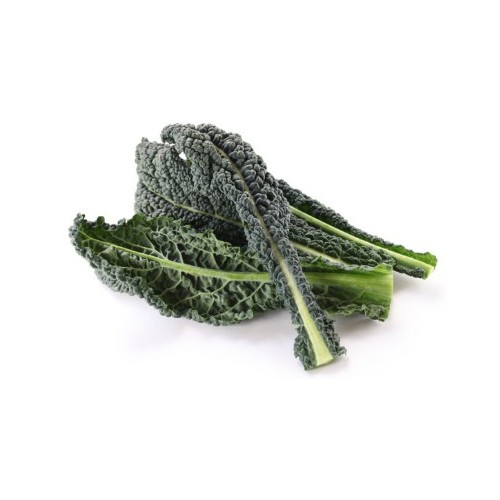 Kale rizado ecológico