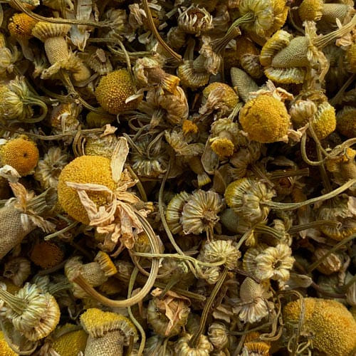 Camomile or "Manzanilla"
