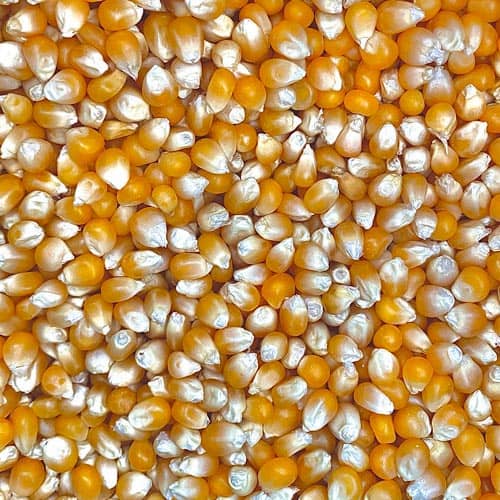 Millo para cotufas