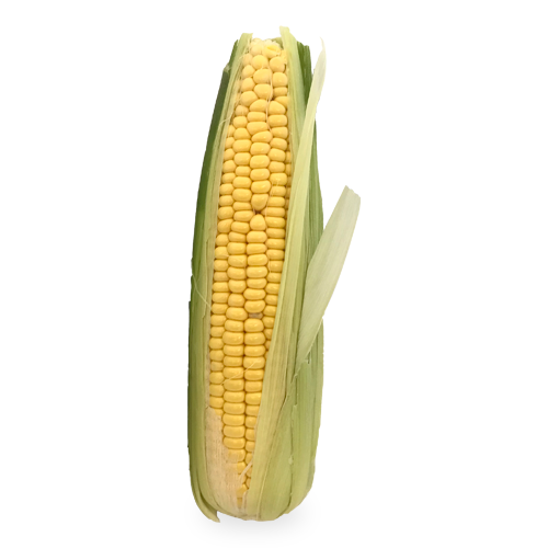 Piña de millo eco