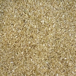 Organic brown round rice