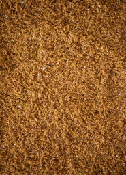 Organic Cane Sugar (Golden Light)