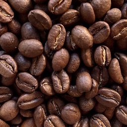 [10103] Coffe Premium Equatorial Mixture