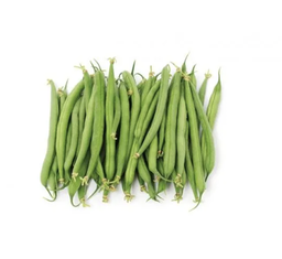 [ALI0012HAB] Green beans