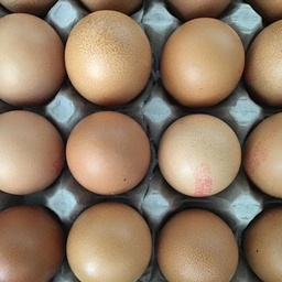 [ALI0012HUE] Huevos camperos