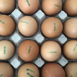 Huevos eco