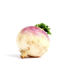 [10429] Organic turnip