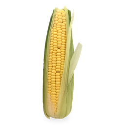 [10256] Sweet corn cob